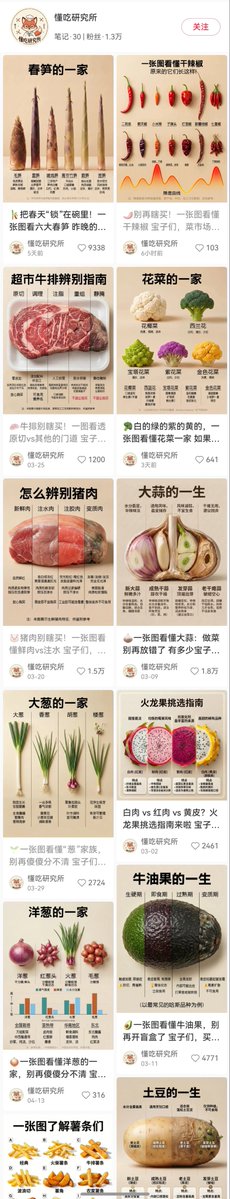 食物生命周期信息图提示词