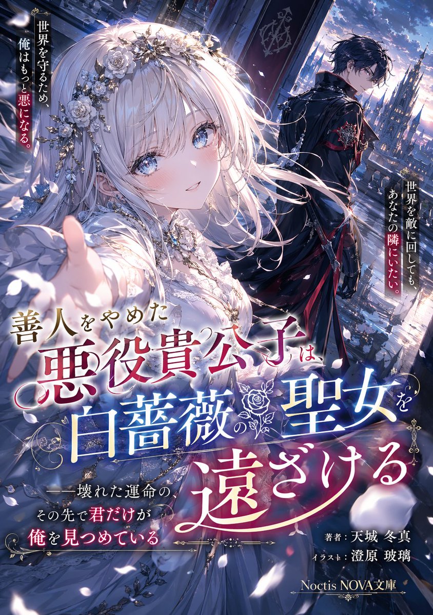 Anime Light Novel Cover Illustration