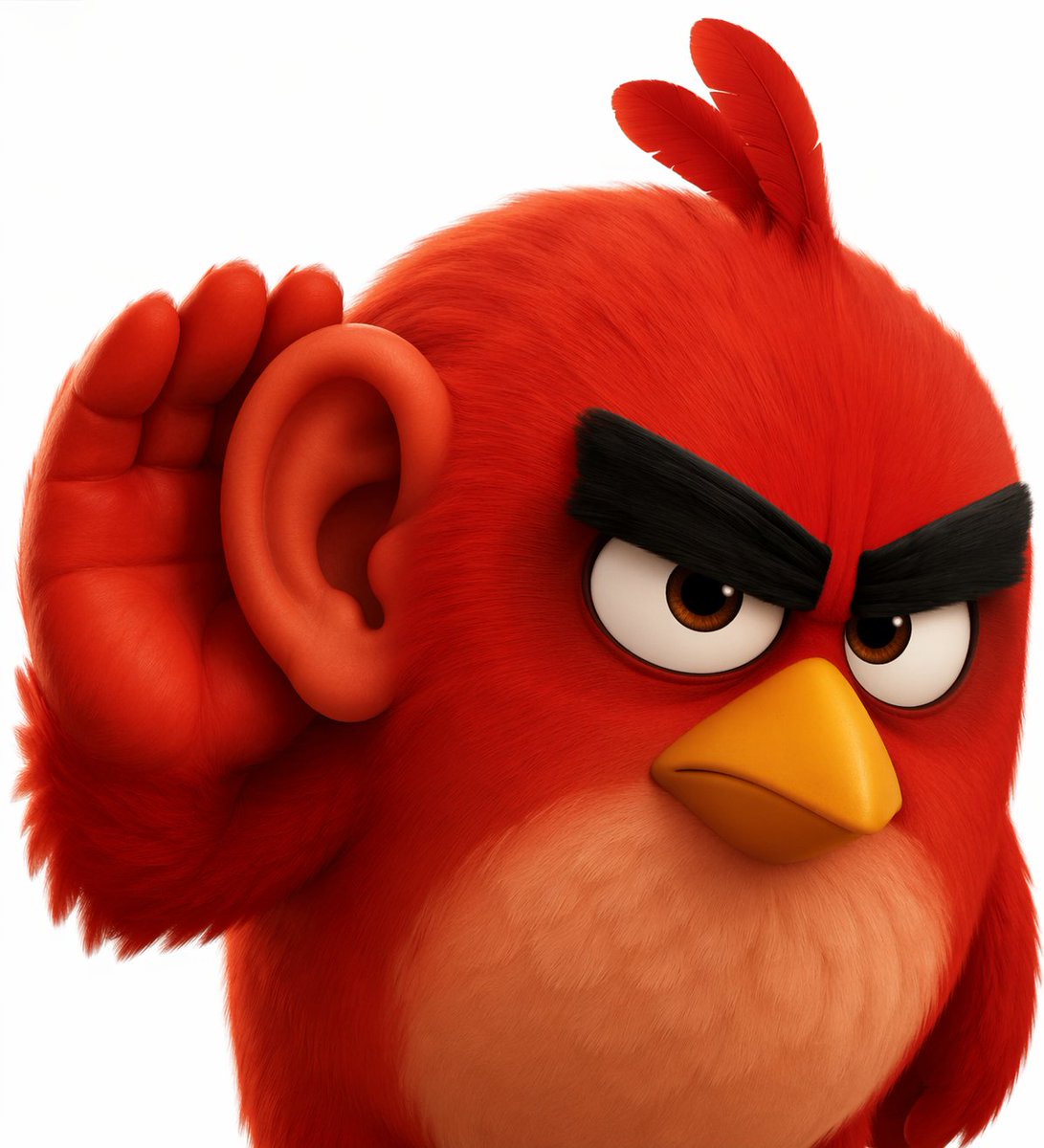 3D 红色小鸟用人耳聆听