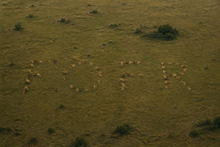 隐藏文字视错觉提示词