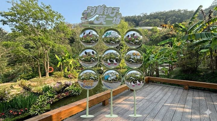 将展示架移至露台上