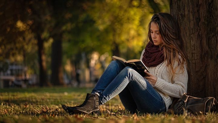 秋季公园阅读素材照片