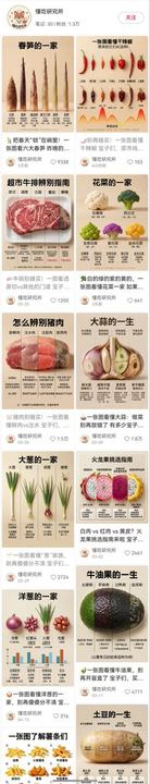 食物生命周期信息图提示词