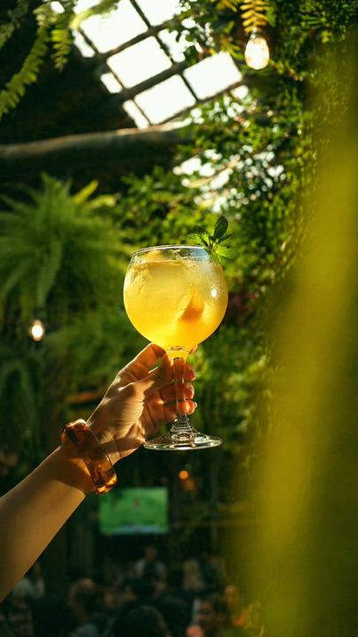 温室酒吧里的金色鸡尾酒